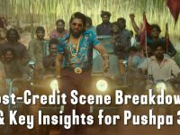 Pushpa 3: What to Expect from the Epic Sequel & FAQs